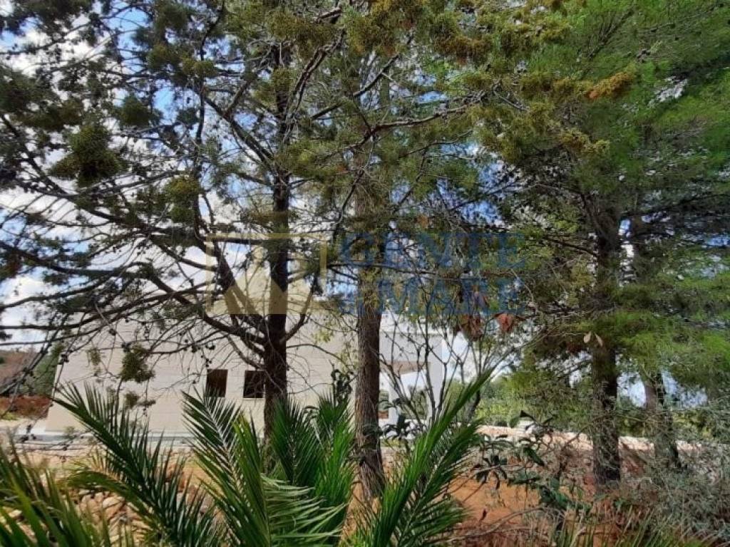 Villa a Ostuni in Contrada Tamburroni - Foto 5