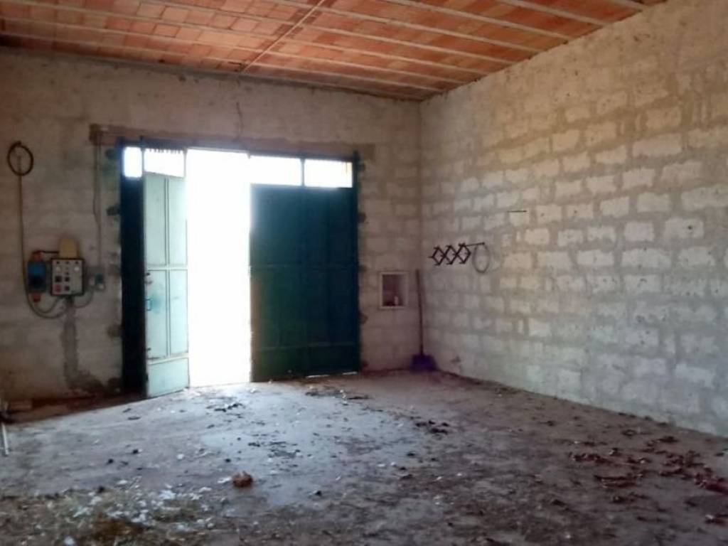 Rustico / casale a Carovigno in San Michele s.n.c - Foto 3