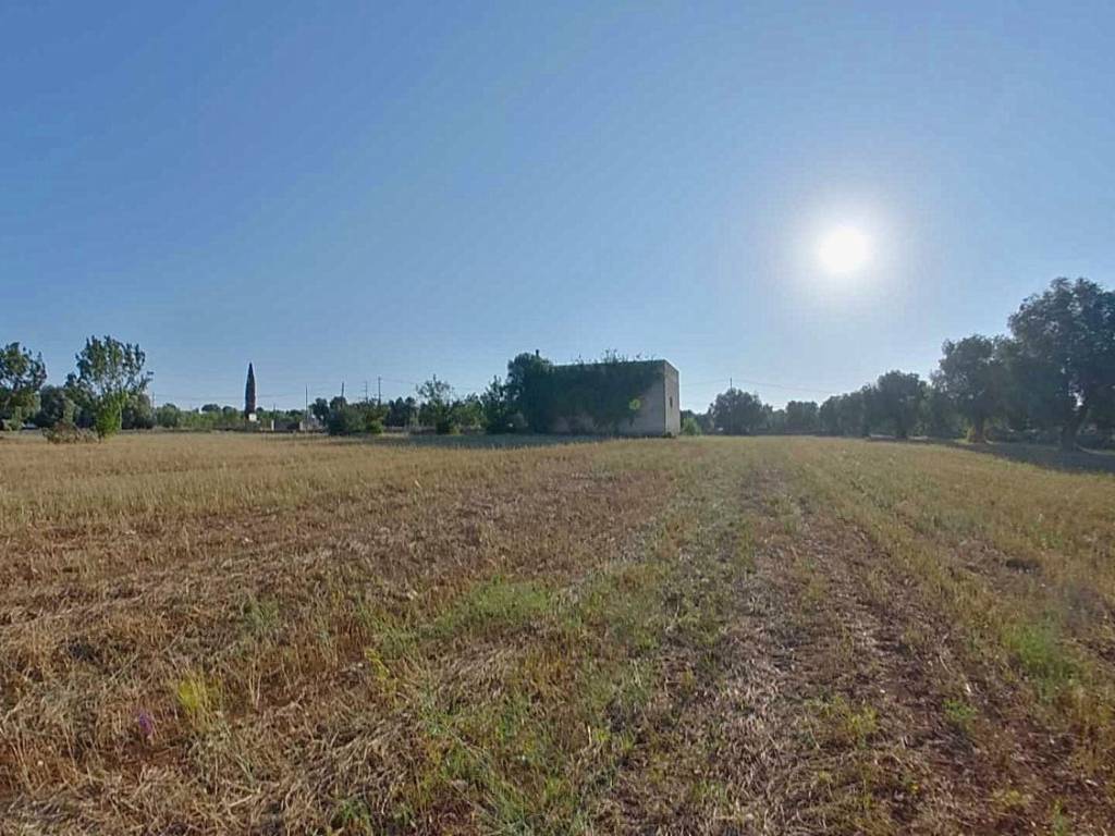 Rustico / casale a Carovigno in San Michele s.n.c - Foto 4