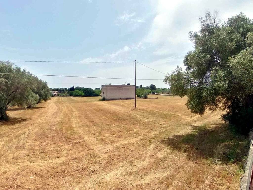 Rustico / casale a Carovigno in San Michele s.n.c - Foto 5