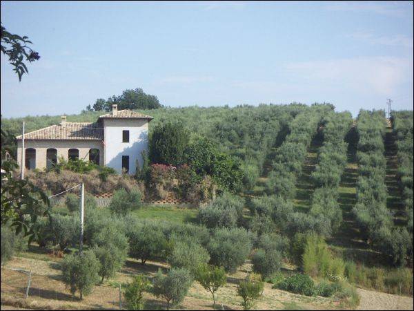Appartamento a Appignano del tronto in Contrada Cese - Foto 4
