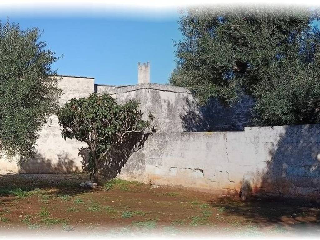 Rustico / casale a Fasano in ANNU s.n.c - Foto 5