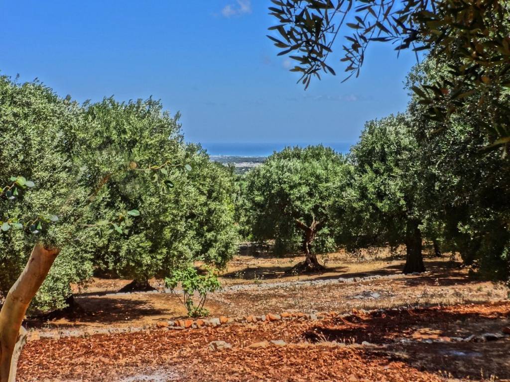 Rustico / casale a Fasano in GOAL s.n.c - Foto 3