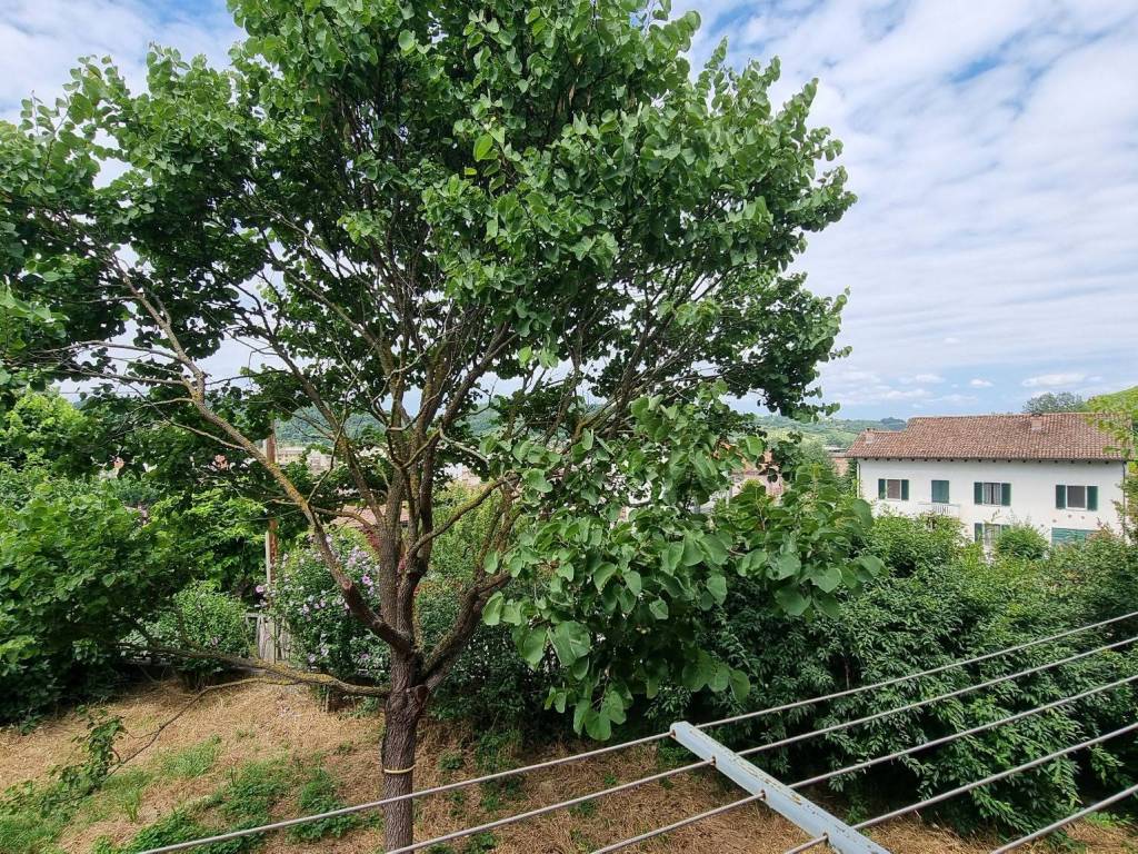 Villa a Mombercelli - Foto 5