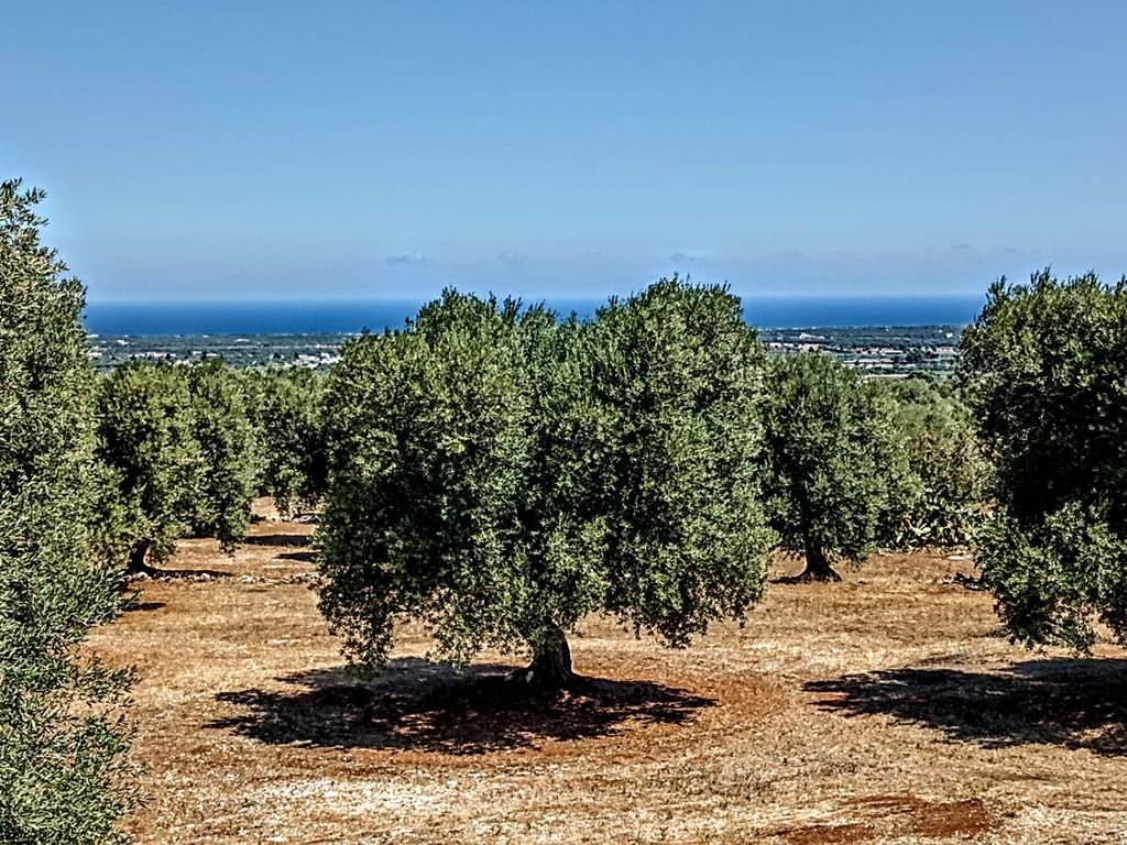 Appartamento a Fasano in KELLY s.n.c - Foto 2