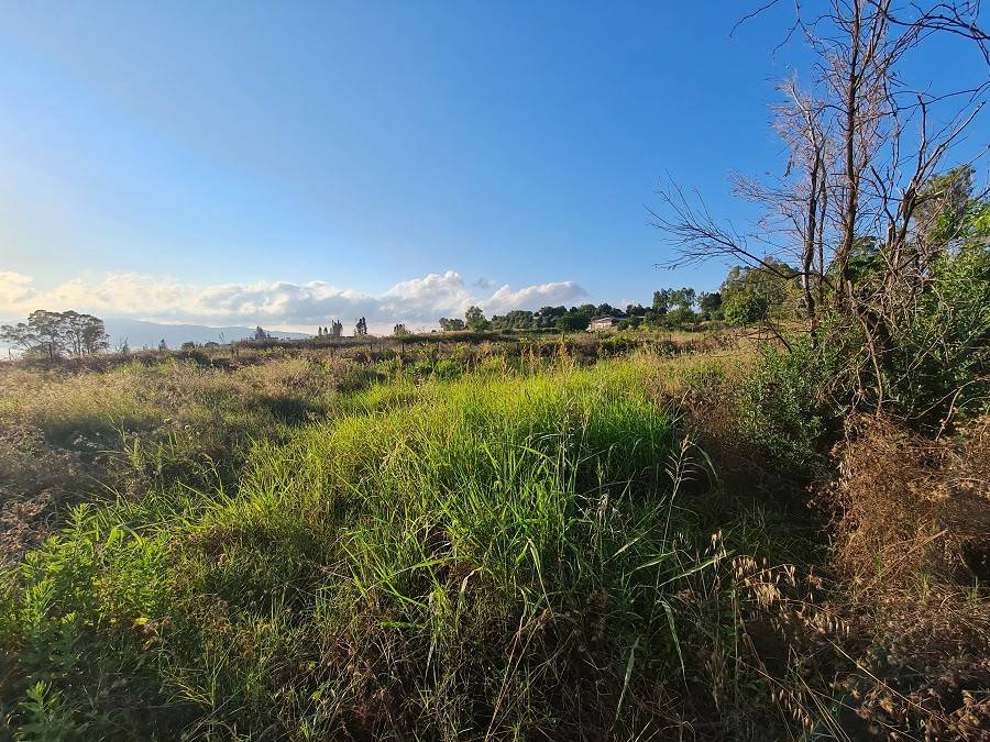Terreno a Reggio calabria in Via Fortezza, 11 - Foto 3