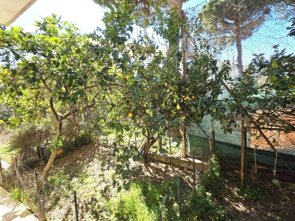 Appartamento a Albisola superiore in corso mazzini, 34 - Foto 5