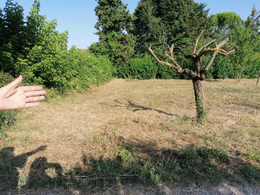 Terreno a Fano in Carrara - Foto 4