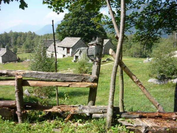 Rustico / casale a Crevoladossola - Foto 2