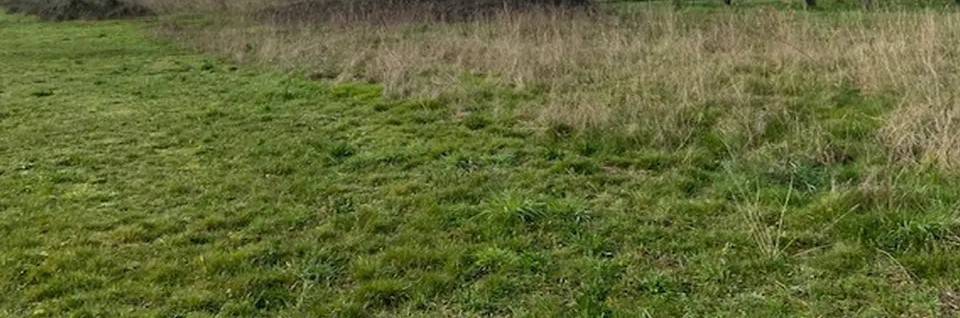 Terreno a Baronissi - Foto 3