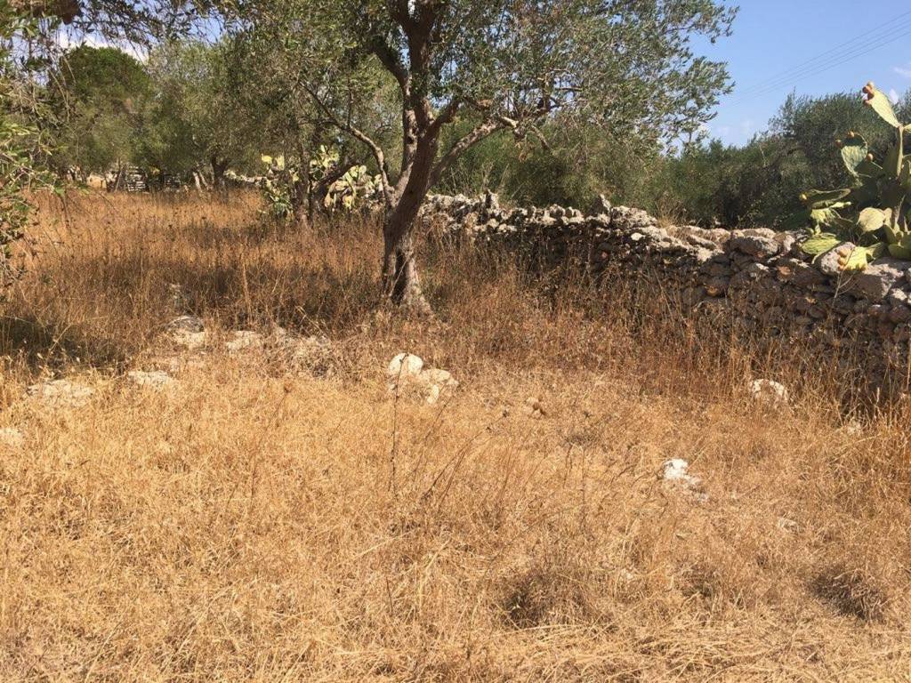 Terreno a Tricase in Via Venezia - Foto 3