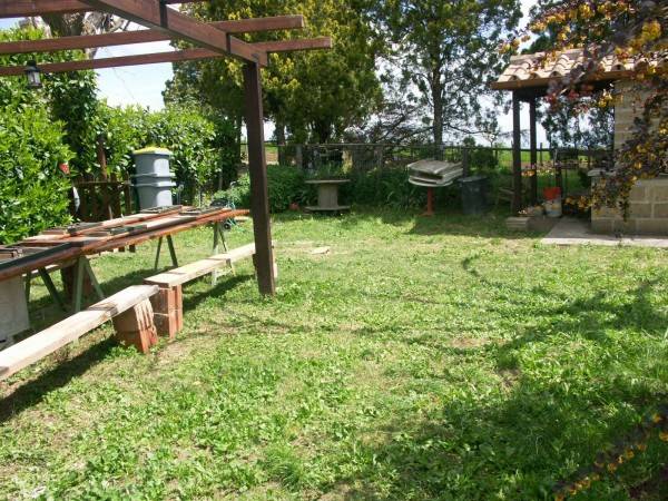 Rustico / casale a Bagnoregio in località giardino - Foto 3