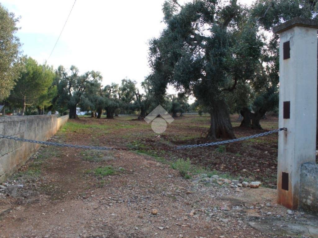 Terreno a Carovigno in Contrada Belvedere - Foto 2