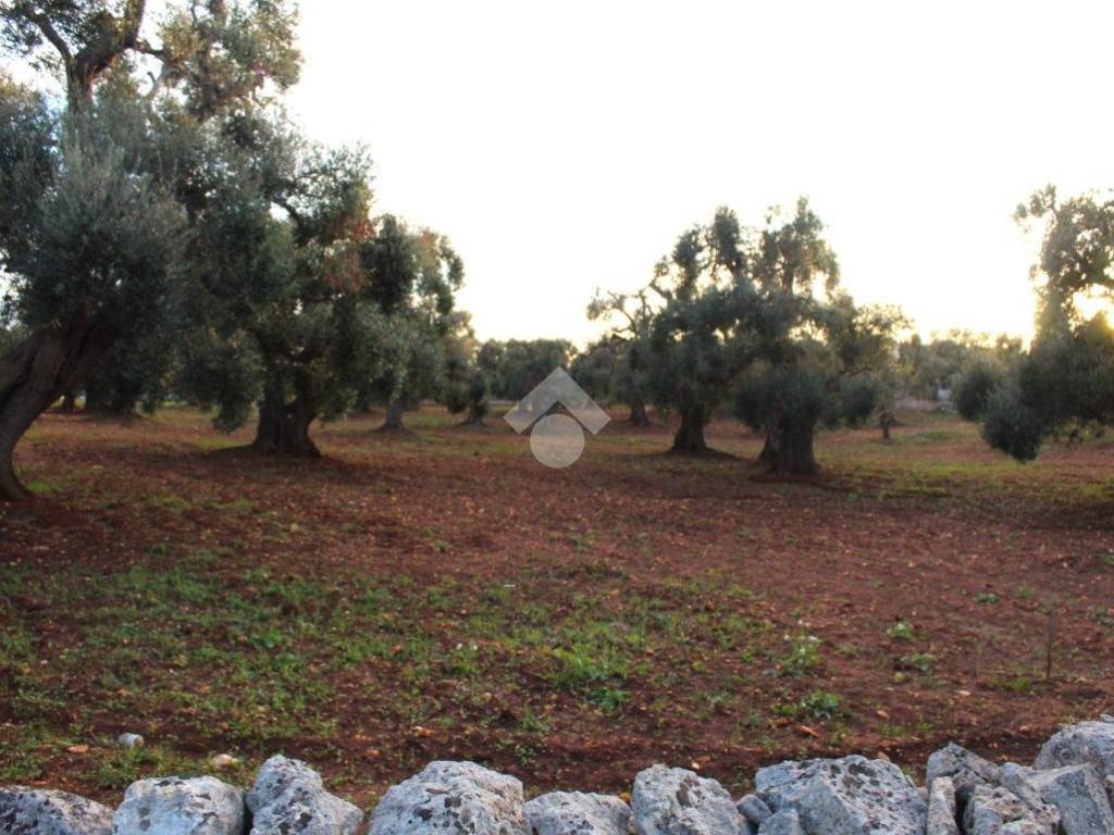 Terreno a Carovigno in Contrada Belvedere - Foto 3