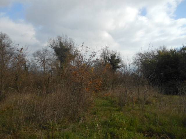 Terreno a Caianello in Via Torso Lombari - Foto 5