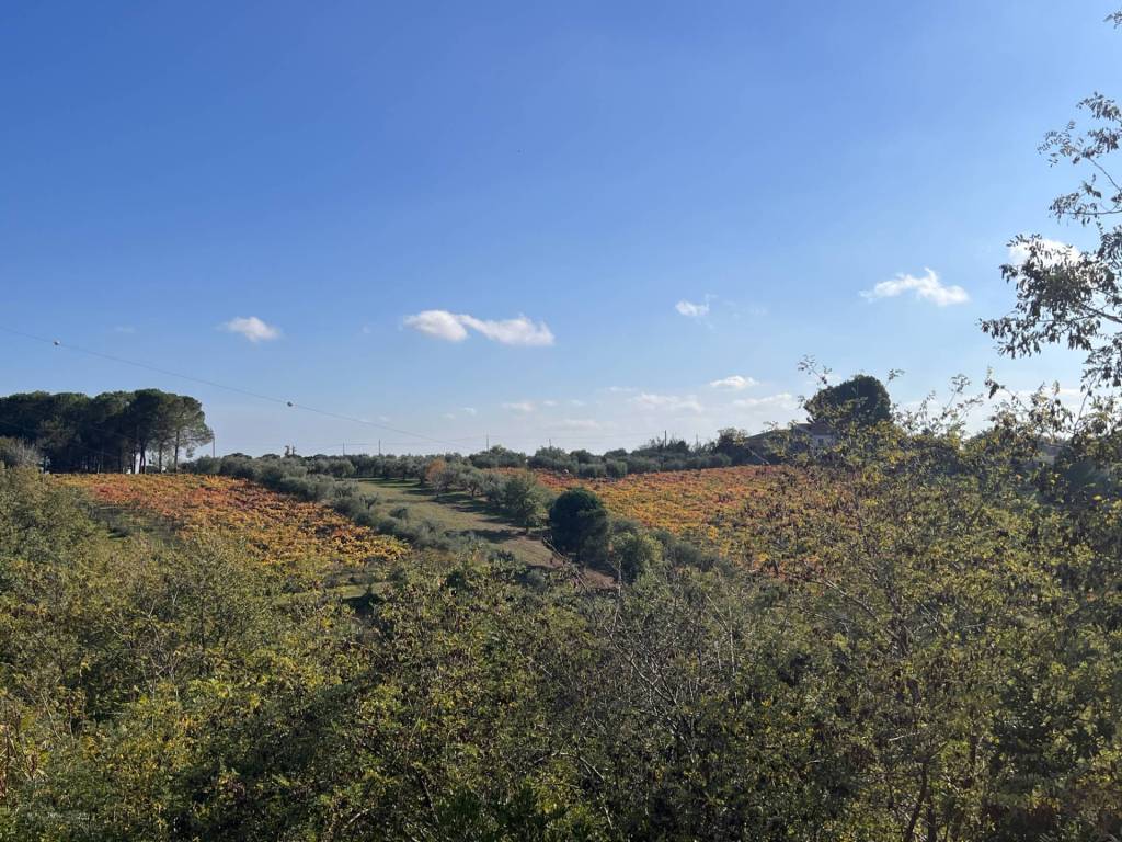 Villa a Chieti in strada giglio - Foto 5