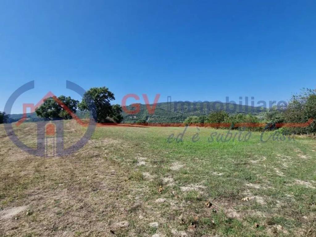 Rustico / casale a Pitigliano in Jh4X+Ph - Foto 3