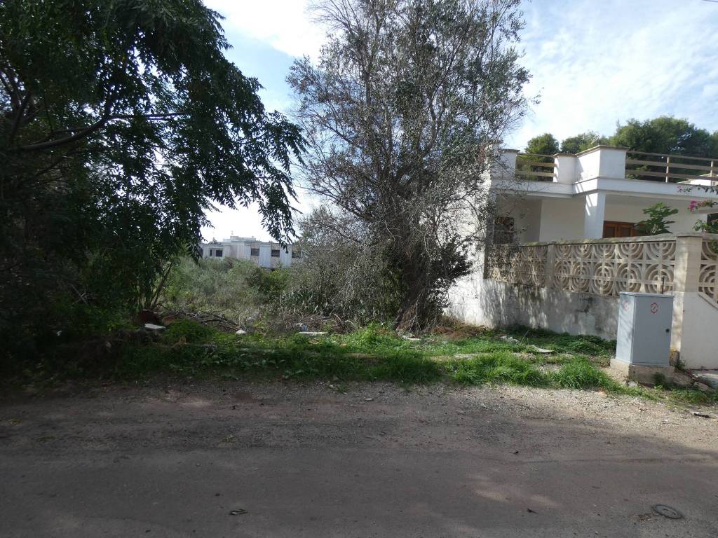 Terreno a Porto cesareo in Via Club Azzurro - Foto 3