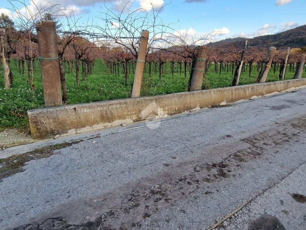 Terreno a Foglianise in Via Sala - Foto 3
