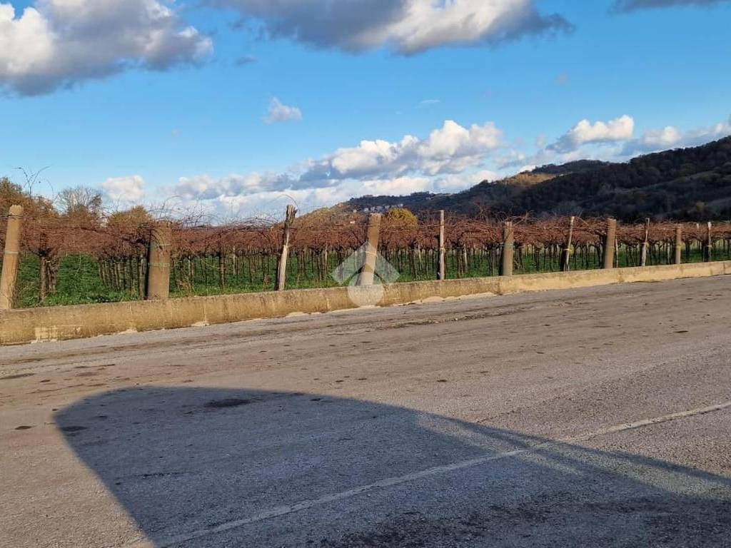 Terreno a Foglianise in Via Sala - Foto 5