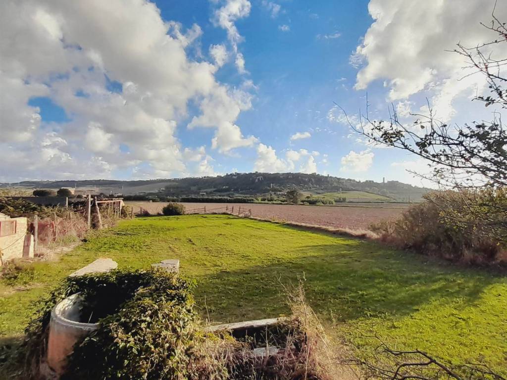Rustico / casale a Tarquinia - Foto 3