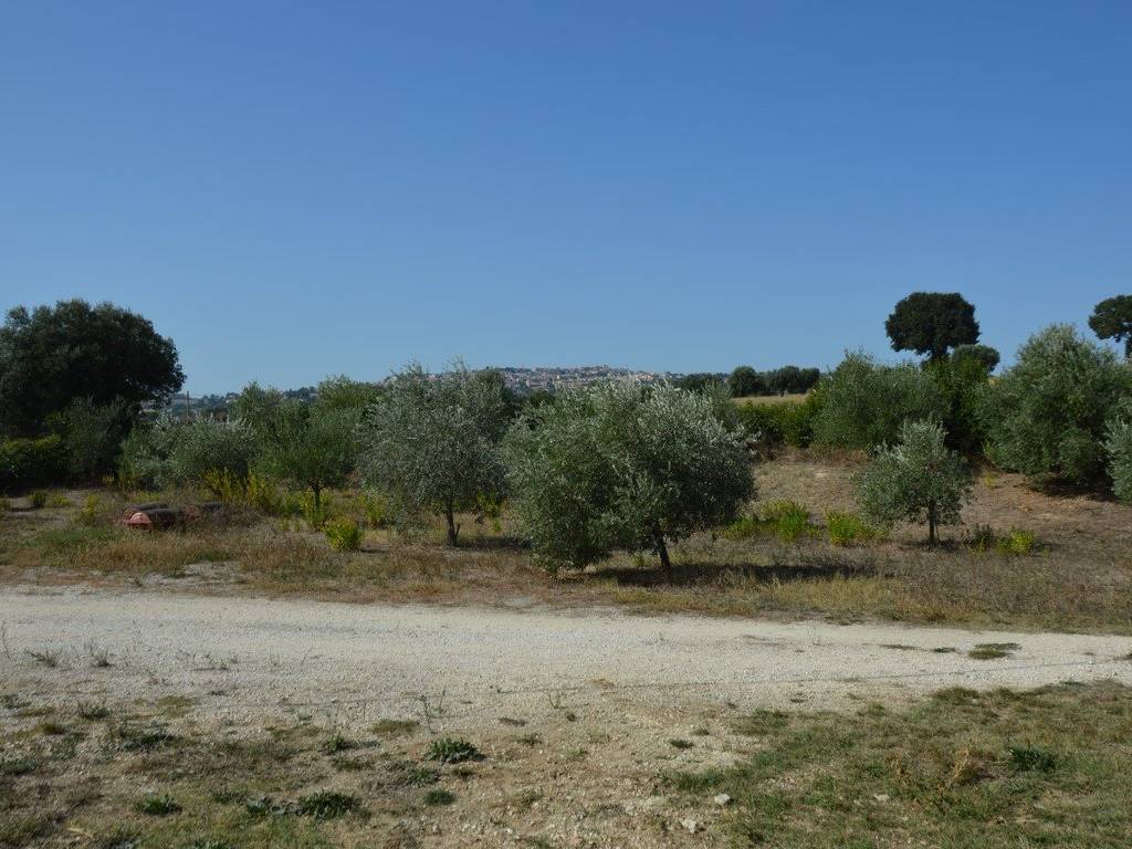 Terreno a Recanati - Foto 3