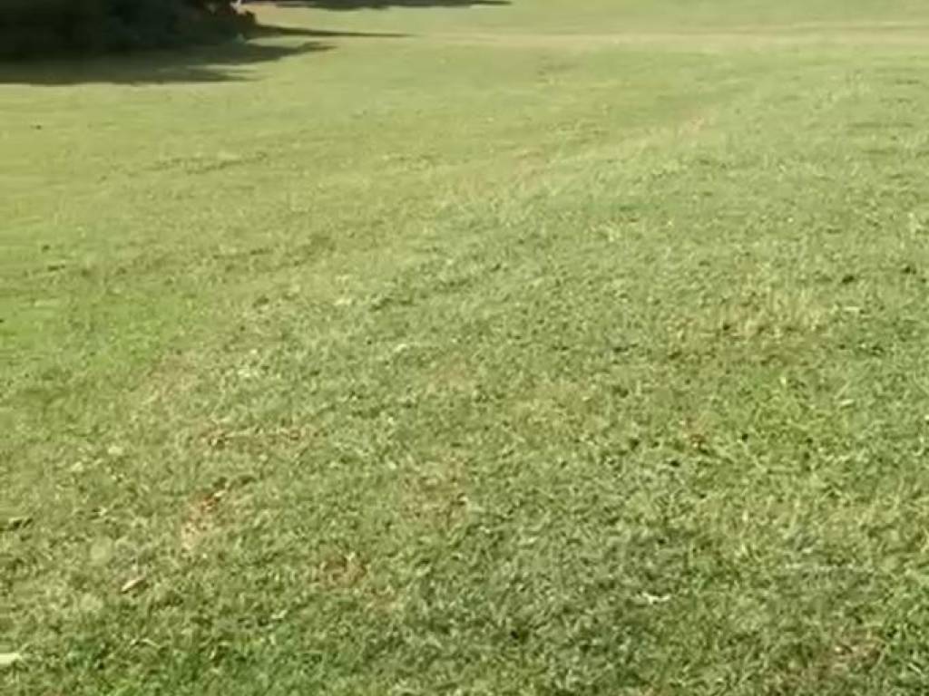 Terreno a Alfedena in Via del Lago - Foto 2