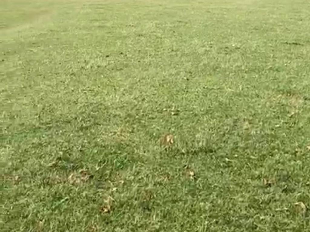 Terreno a Alfedena in Via del Lago - Foto 3