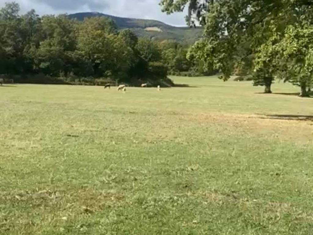 Terreno a Alfedena in Via del Lago - Foto 4