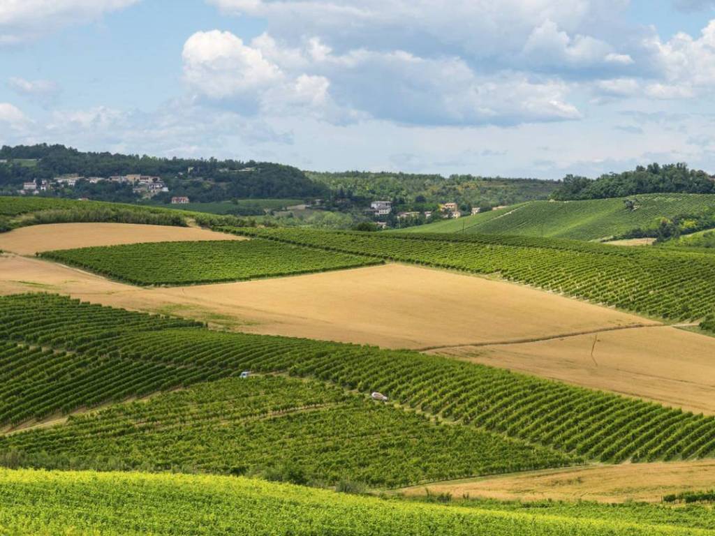 Rustico / casale a Cortiglione in via Cavour, 9 - Foto 4