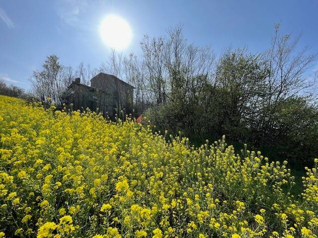 Rustico / casale a Castelvetro di modena in Via Sinistra Guerro, 78 - Foto 3