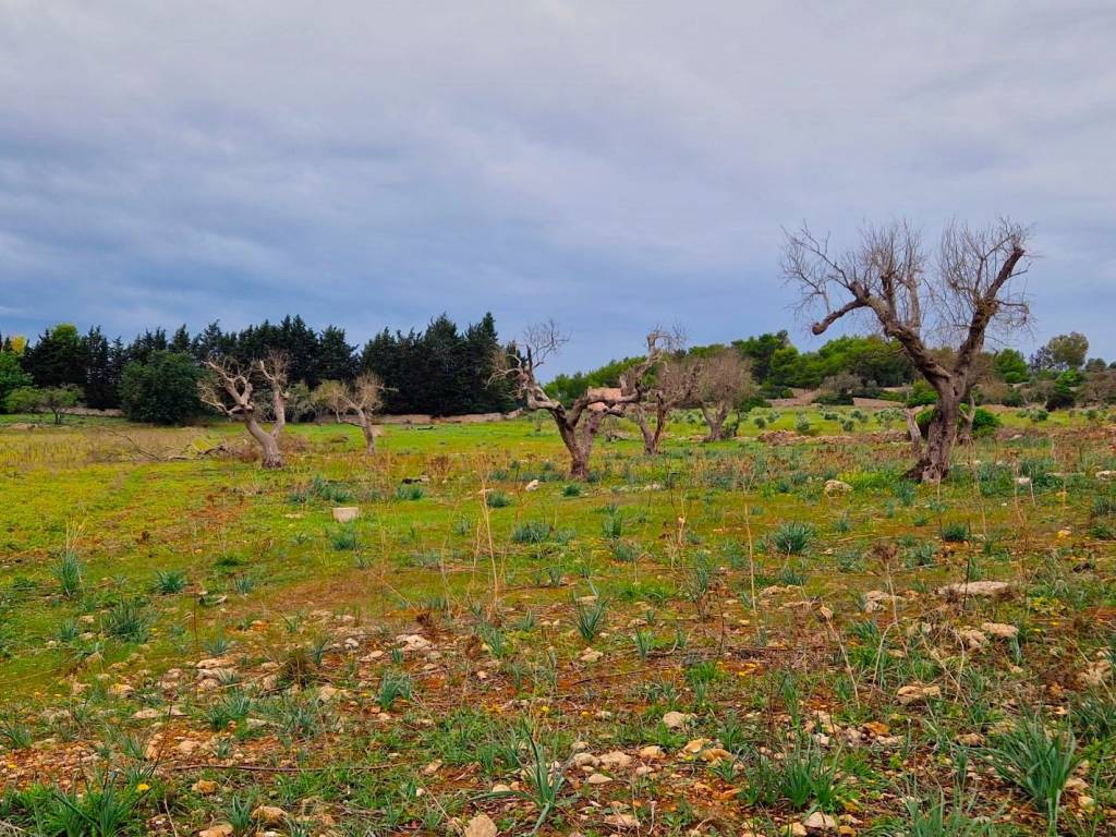 Terreno a Gallipoli in Via Olio Santo - Foto 2