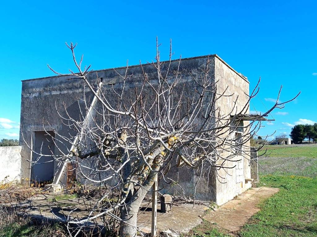 Terreno a Tricase in Strada Comunale del Mito - Foto 5