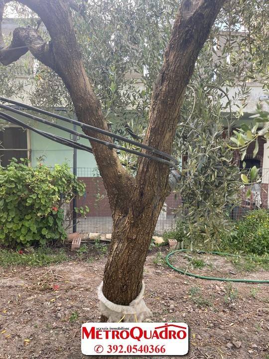 Terreno a Manfredonia - Foto 4
