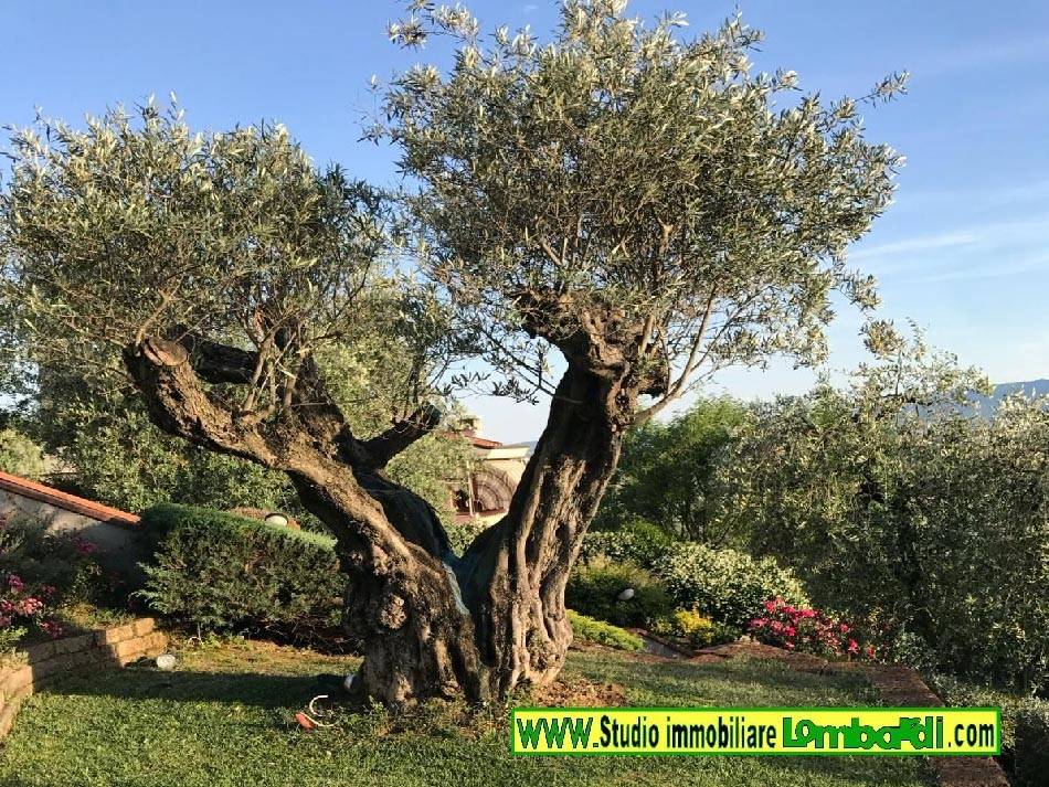 Villa a Montale in Via Spartaco Lavagnini, 7 - Foto 3