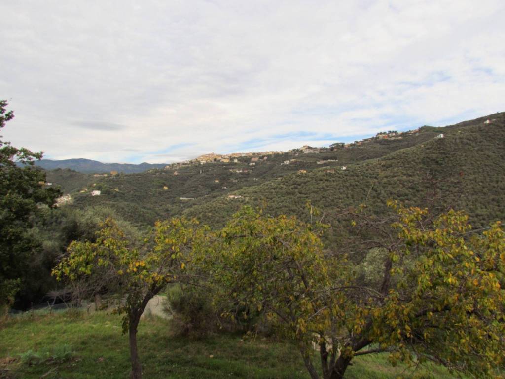 Rustico / casale a Perinaldo in Località Curli - Foto 4