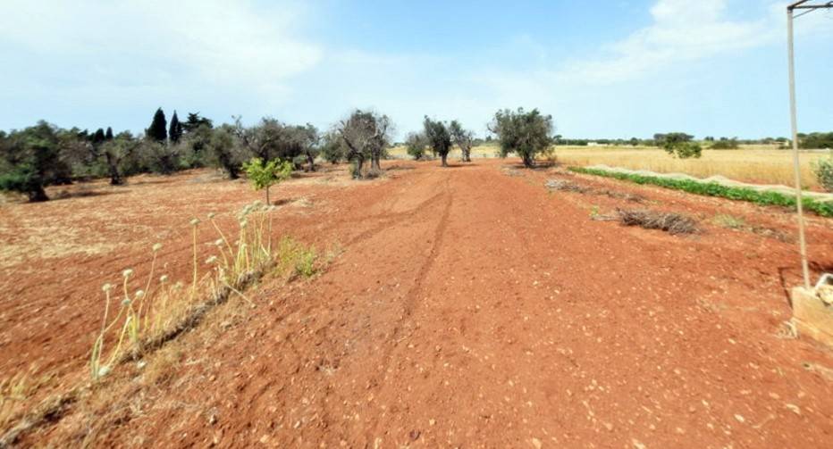 Terreno a Castrignano del capo - Foto 2
