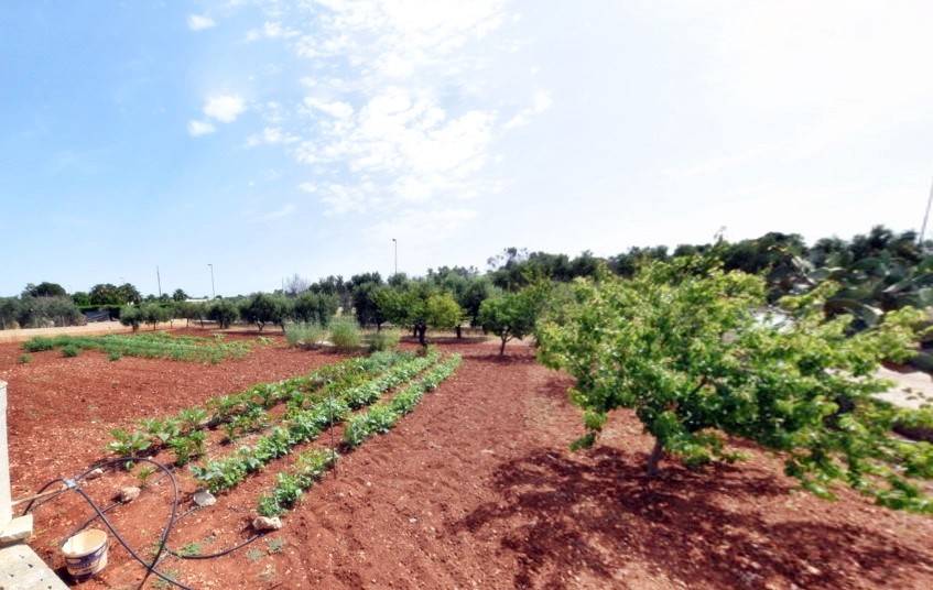 Terreno a Castrignano del capo - Foto 4