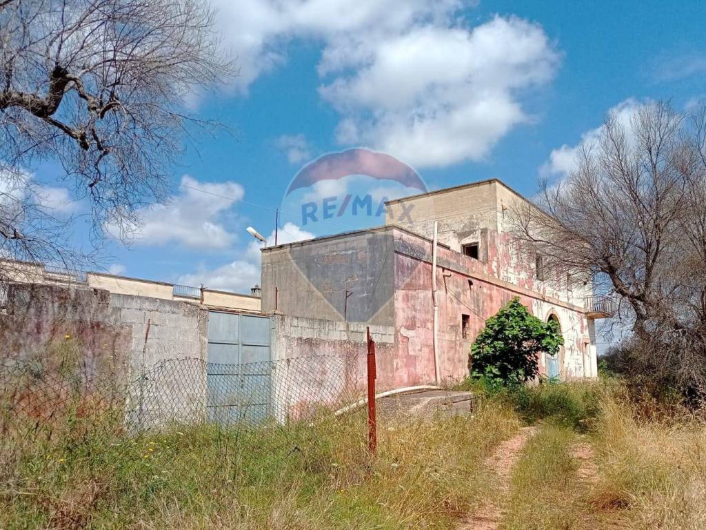 Rustico / casale a Porto cesareo - Foto 2