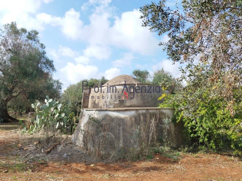Rustico / casale a San vito dei normanni - Foto 3