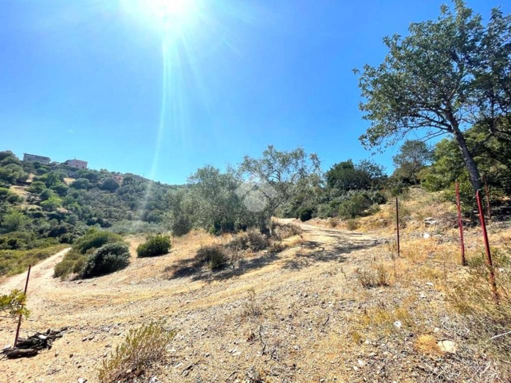 Terreno a Baunei in Località Masoniai - Foto 3