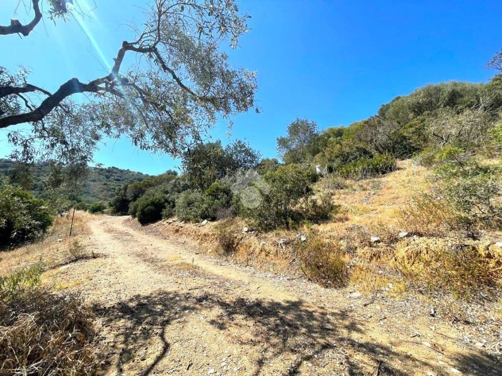 Terreno a Baunei in Località Masoniai - Foto 4