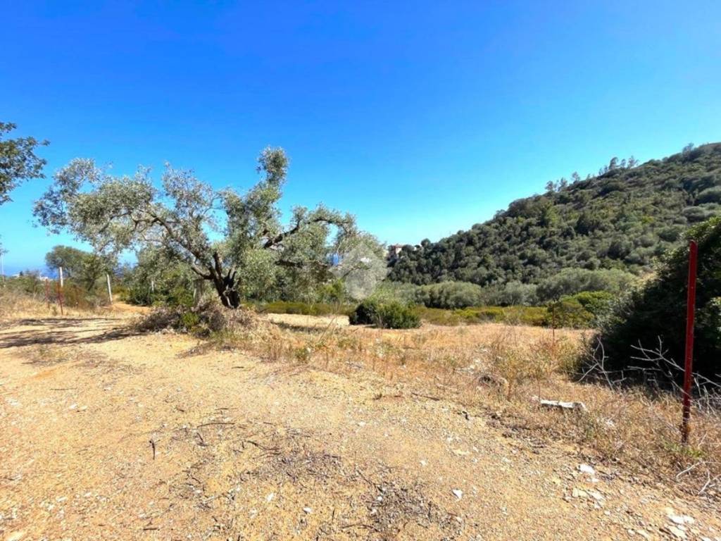 Terreno a Baunei in Località Masoniai - Foto 5