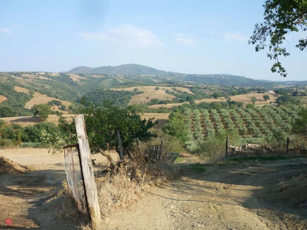 Rustico / casale a Scansano in Madrechiesa S.N.C. - Foto 5
