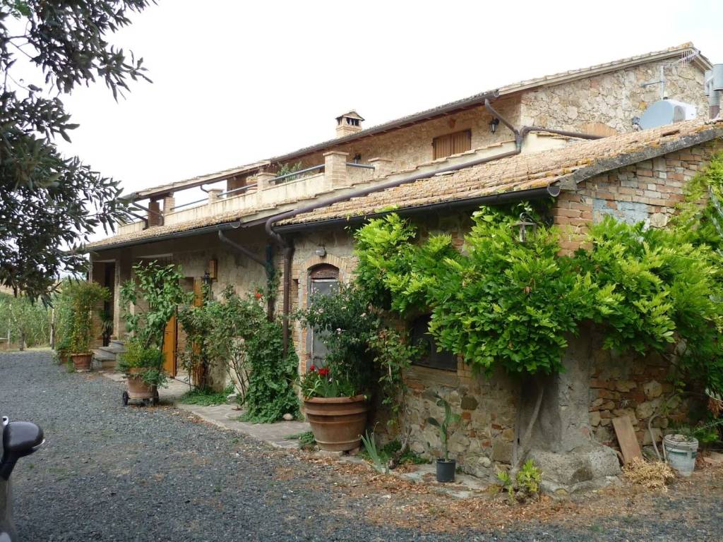 Rustico / casale a Cinigiano in Cinigiano S.N.C. - Foto 3