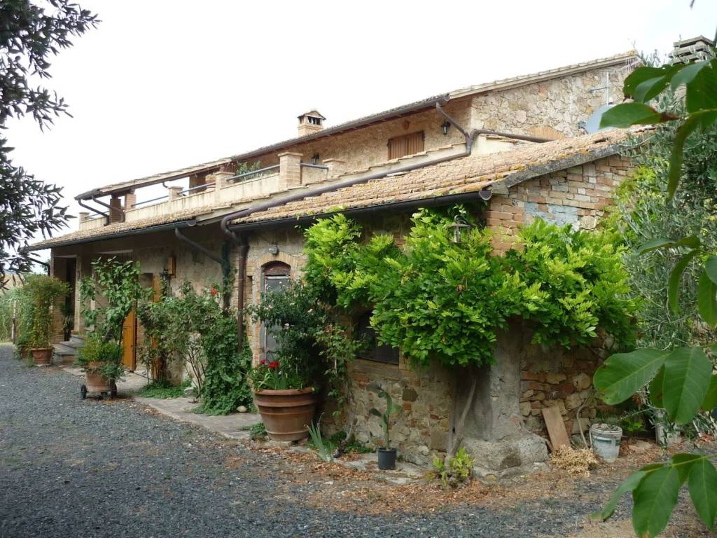 Rustico / casale a Cinigiano in Cinigiano S.N.C. - Foto 4