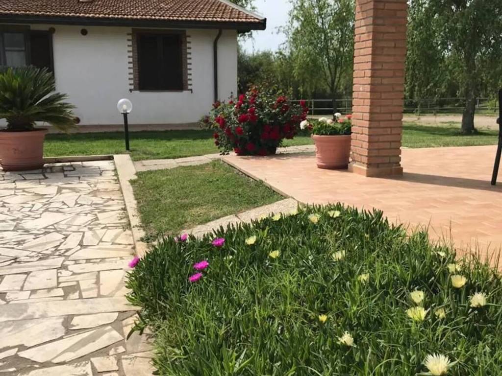 Rustico / casale a Grosseto - Foto 2
