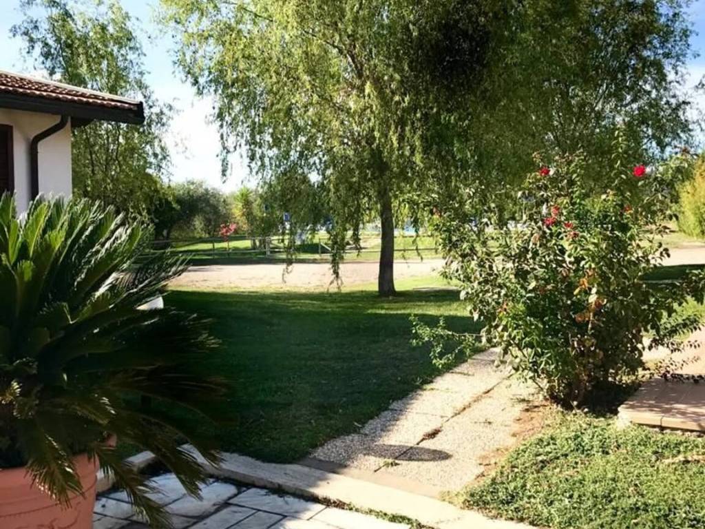 Rustico / casale a Grosseto - Foto 4