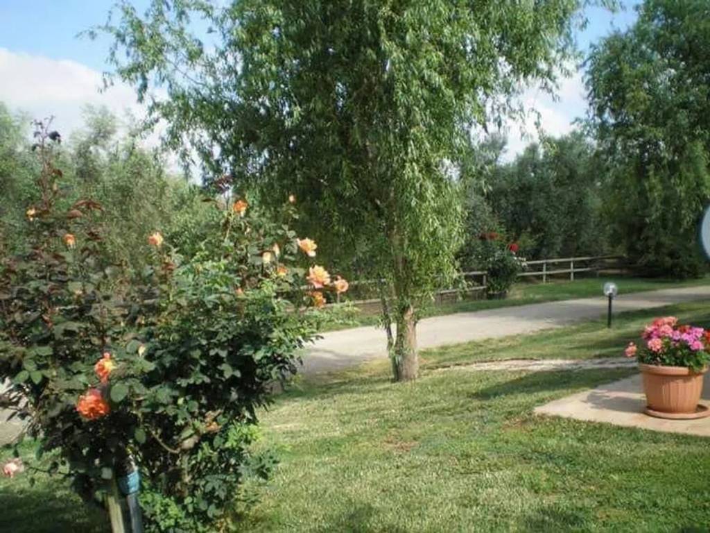 Rustico / casale a Grosseto - Foto 5