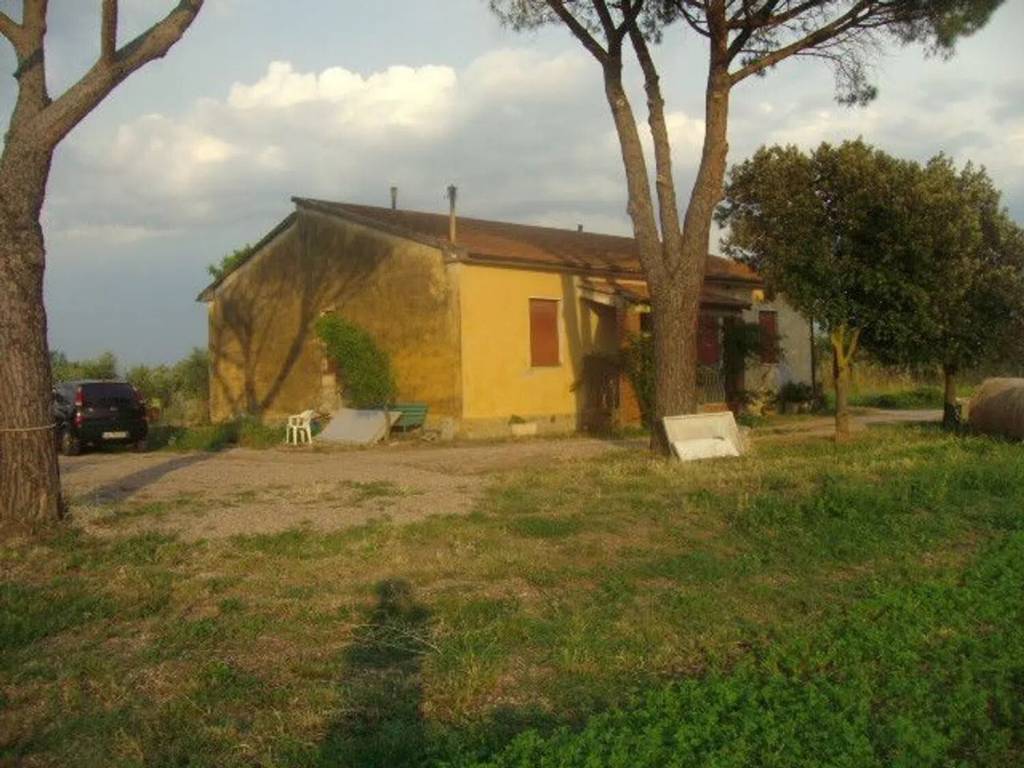 Rustico / casale a Grosseto in Rugginosa S.N.C. - Foto 2